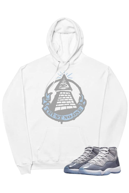 Air Jordan 11 "Trust No One" Hoodie Cool Grey